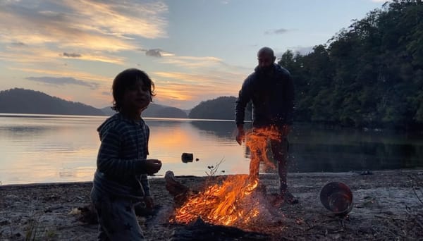 Dispatch #1: The Brick Fireplace and the Wild Fire